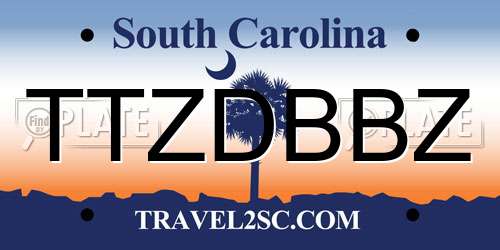 TTZDBBZ South Carolina License Plate