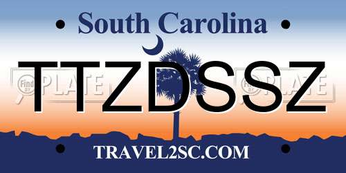 TTZDSSZ South Carolina License Plate