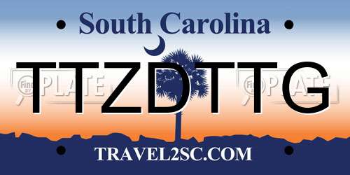 TTZDTTG South Carolina License Plate