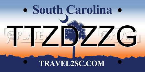 TTZDZZG South Carolina License Plate