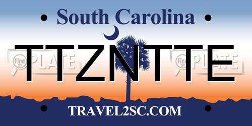 TTZNTTE South Carolina License Plate