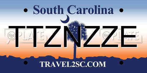 TTZNZZE South Carolina License Plate