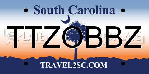 TTZOBBZ South Carolina License Plate