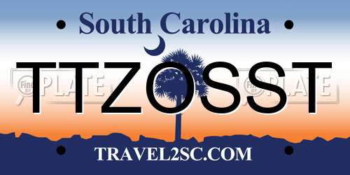 TTZOSST South Carolina License Plate