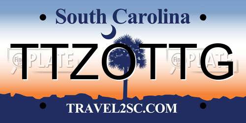 TTZOTTG South Carolina License Plate