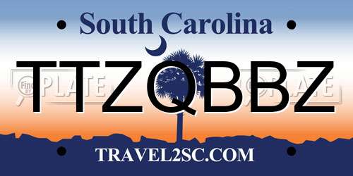 TTZQBBZ South Carolina License Plate