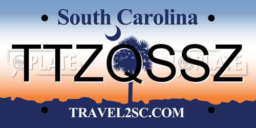 TTZQSSZ South Carolina License Plate