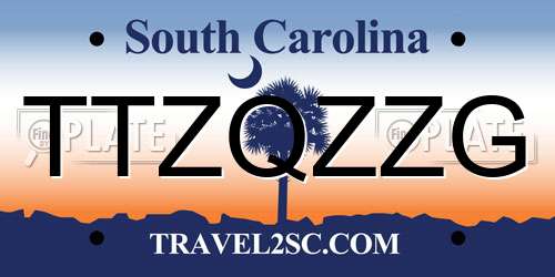 TTZQZZG South Carolina License Plate