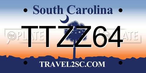 TTZZ64 South Carolina License Plate