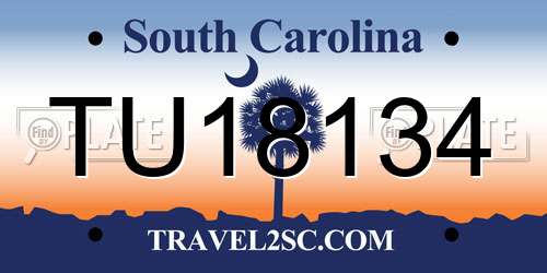 TU18134 South Carolina License Plate