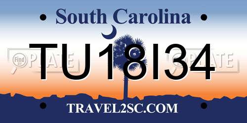 TU18I34 South Carolina License Plate