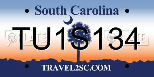 TU1S134 South Carolina License Plate