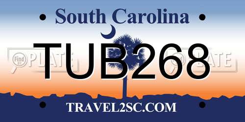 TUB268 South Carolina License Plate