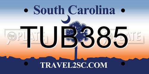 TUB385 South Carolina License Plate