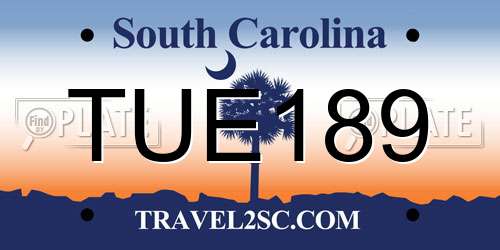 TUE189 South Carolina License Plate