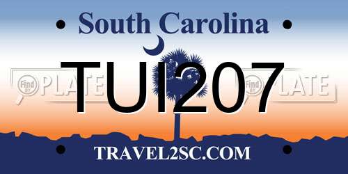 TUI207 South Carolina License Plate