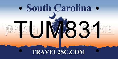TUM831 South Carolina License Plate