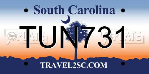 TUN731 South Carolina License Plate