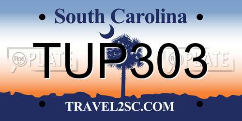 TUP303 South Carolina License Plate