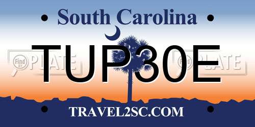 TUP30E South Carolina License Plate