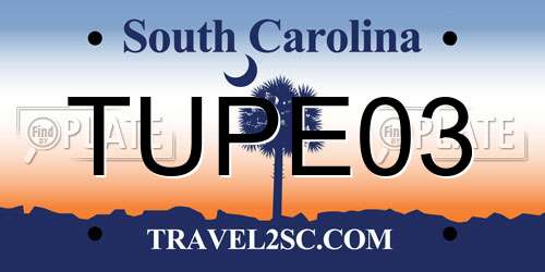 TUPE03 South Carolina License Plate