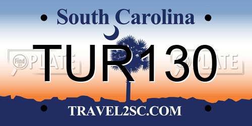 TUR130 South Carolina License Plate