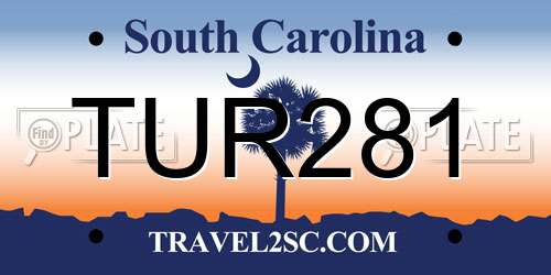 TUR281 South Carolina License Plate