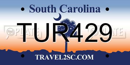 TUR429 South Carolina License Plate