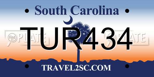 TUR434 South Carolina License Plate
