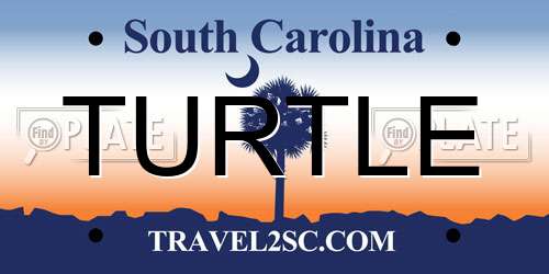 TURTLE South Carolina License Plate