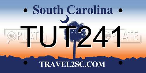 TUT241 South Carolina License Plate