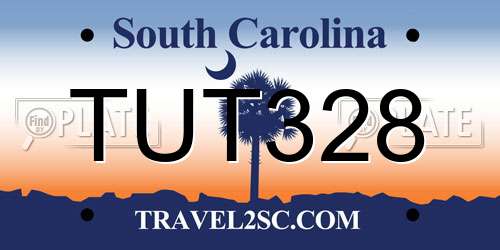 TUT328 South Carolina License Plate