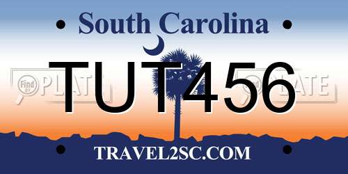 TUT456 South Carolina License Plate