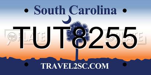 TUT8255 South Carolina License Plate