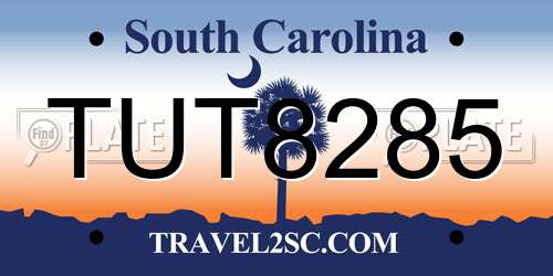 TUT8285 South Carolina License Plate