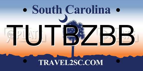 TUTBZBB South Carolina License Plate