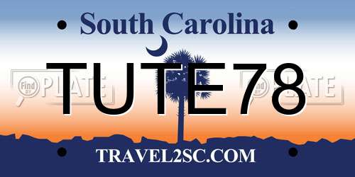 TUTE78 South Carolina License Plate