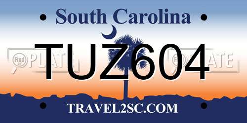 TUZ604 South Carolina License Plate
