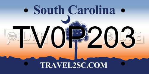 TV0P203 South Carolina License Plate