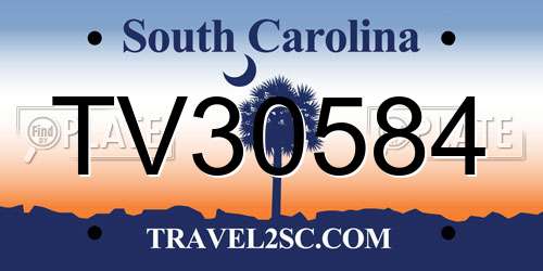 TV30584 South Carolina License Plate