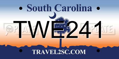 TWE241 South Carolina License Plate