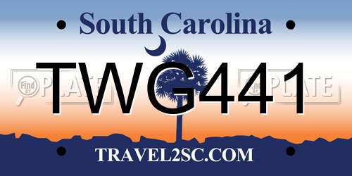 TWG441 South Carolina License Plate