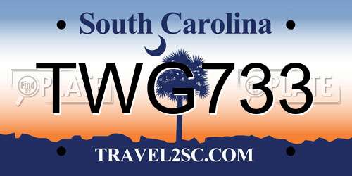 TWG733 South Carolina License Plate