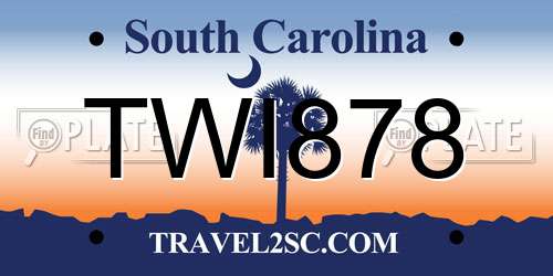 TWI878 South Carolina License Plate