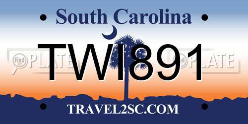 TWI891 South Carolina License Plate