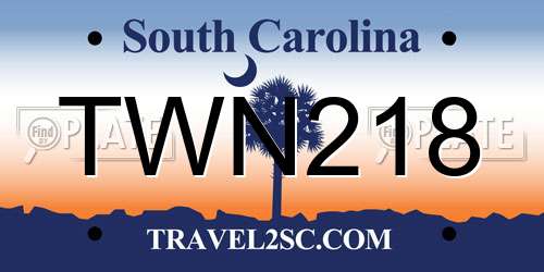 TWN218 South Carolina License Plate