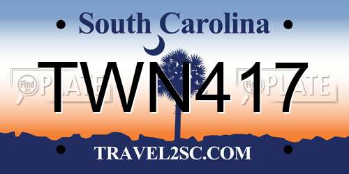 TWN417 South Carolina License Plate