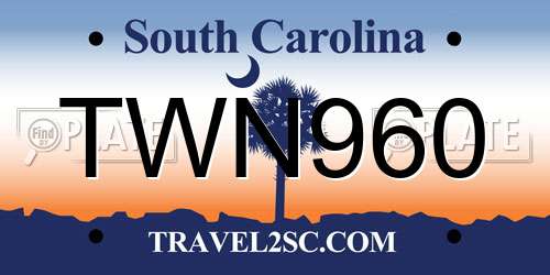 TWN960 South Carolina License Plate