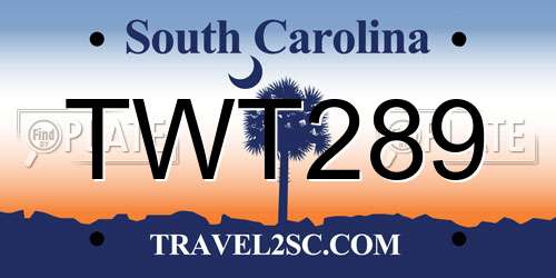TWT289 South Carolina License Plate
