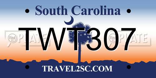 TWT307 South Carolina License Plate